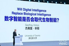 浩繁创做者取IP方